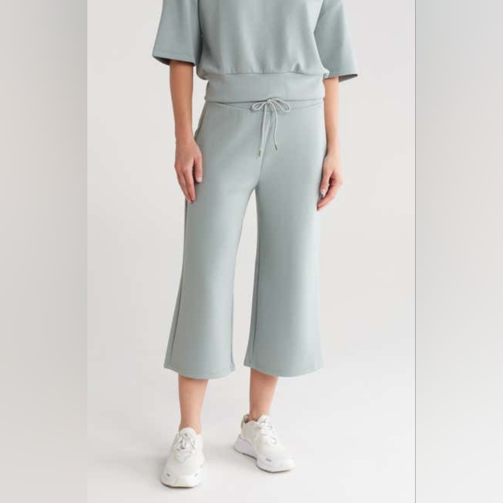 KYODAN Scuba Capri Pants, Small, PASTEL SAGE